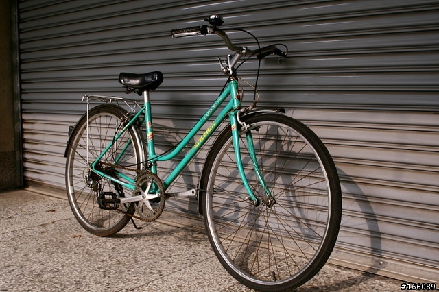 老媽的鋼管車 - Raleigh Lafound Sport