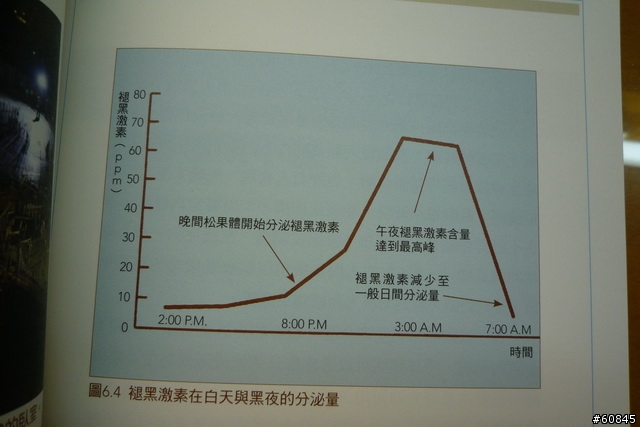 [心得] 你開始注意到「光害」的問題了嗎？