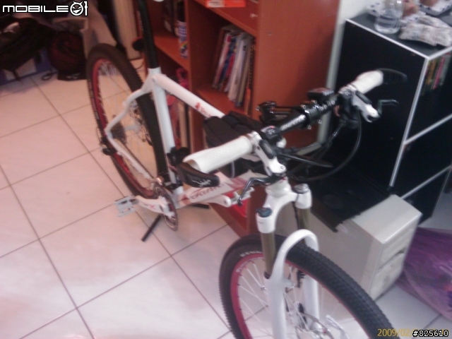 新車購入...MATRIX TANK 楓葉版