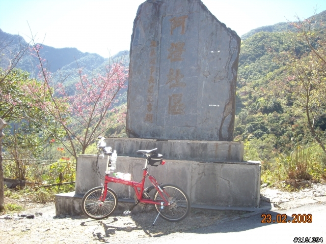 和阿禮櫻花的約定...人氣858回應1個耶