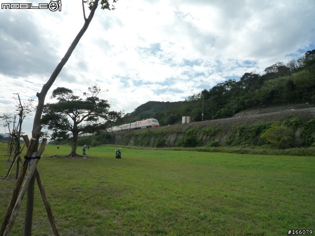 鶯歌樹林半日行