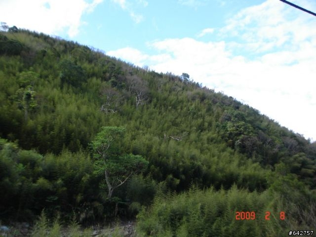 弱雞四人組之薰衣草花園(尖石)完全制霸，同場加映八五山與數碼天空殘念之旅