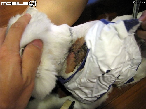 Nini與惡性腫瘤奮鬥過程全記錄(5/23更新-完結篇 詳情請看第一頁)