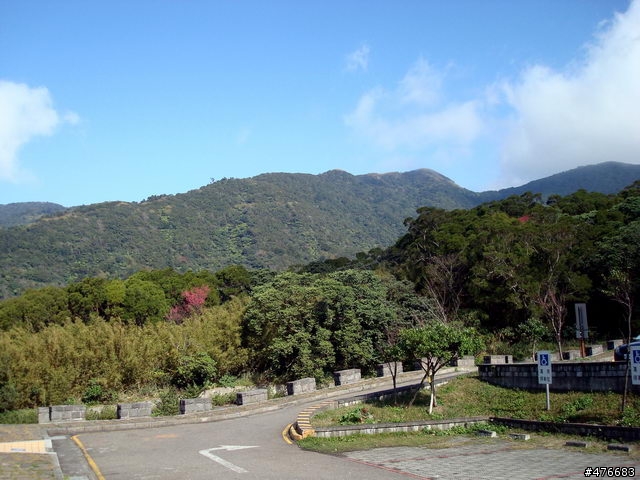 中正山櫻花快報................攝郎們請注意.....