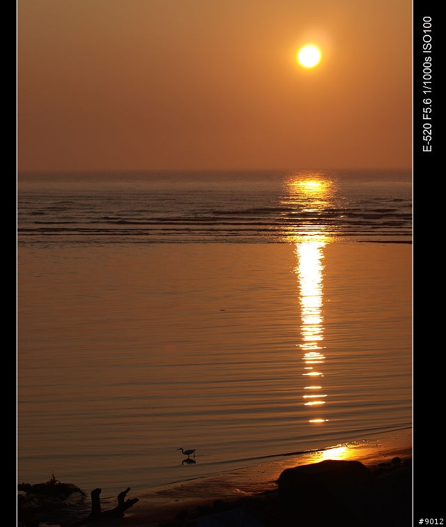 [景點]永安漁港之夕陽