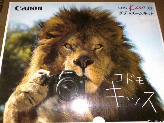 [超級不專業開箱文]CANON 450D 18~55&55~250雙鏡