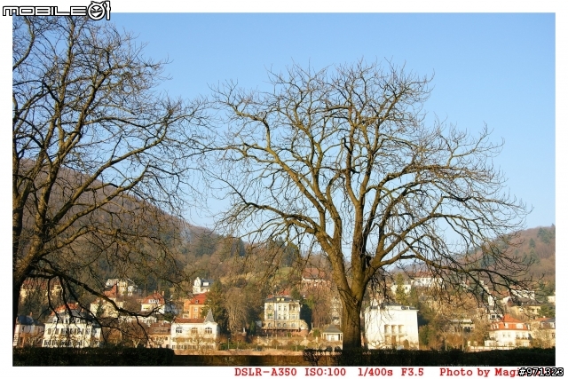 [分享心得] 一路走來~~走到現在的  S5Pro