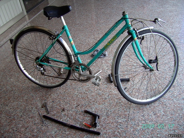 老媽的鋼管車 - Raleigh Lafound Sport