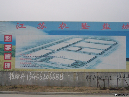 我在左岸開發區之....閒逛篇