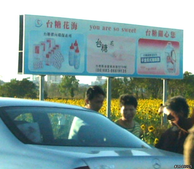 春天來了！ RAV4 ＋ 向日葵花海!!