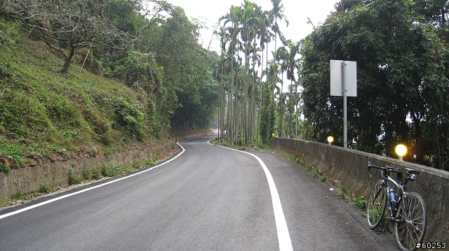 嘉義市 大華公路→石桌→奮起湖→阿里山公路→嘉義市