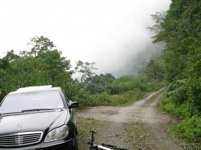 多納林道+石南山