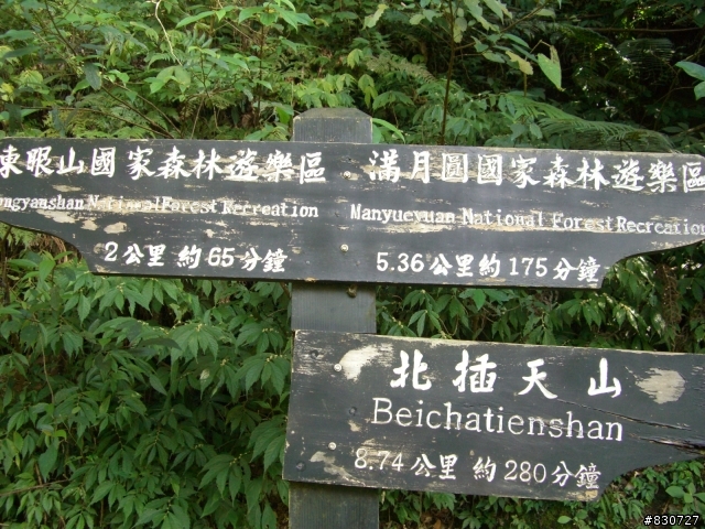 東眼山越嶺完全攻略＋意外的賞櫻之旅
