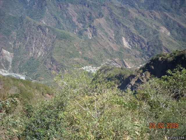 和阿禮櫻花的約定...人氣858回應1個耶