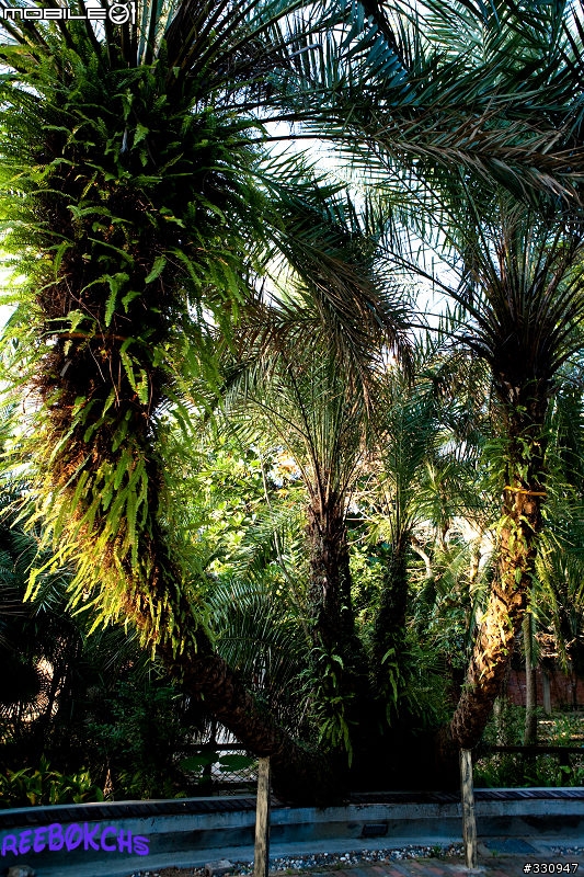 :::台北植物園:::