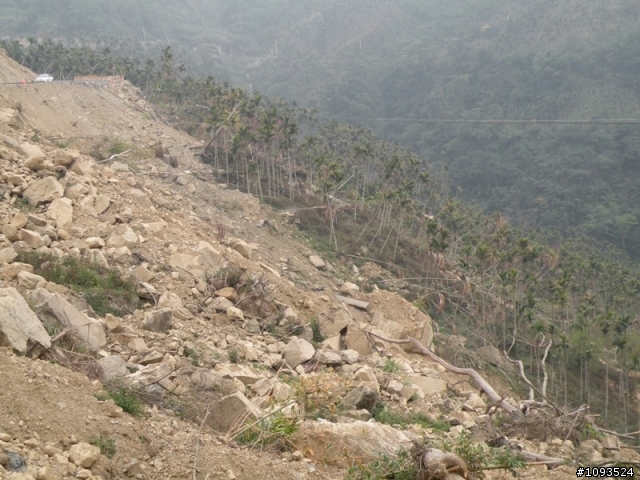 阿里山與新中橫 三天兩夜單車行(1/24~1/26)