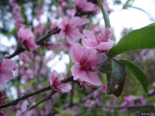 與"壞鐵仔"的單人環島(圖多)DAY-1