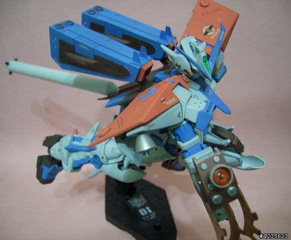 [分享] 1/100  藍色異端 2L型 (小改造)
