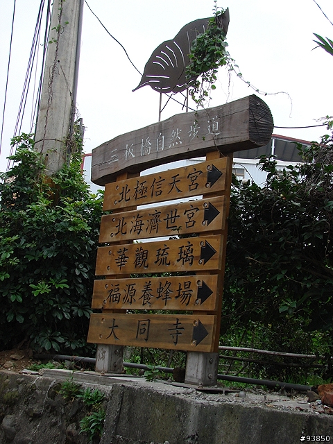三板橋古道+金山總督溫泉賞櫻遊記 圖很多