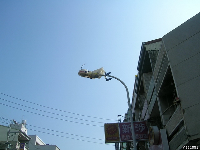 【環東台灣老人長青旅遊活動】高雄市→台東市→花蓮市→宜蘭市→台北市  台灣東部四天遊(圖極多)