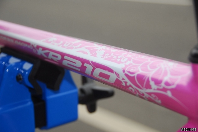 謹獻給辛苦的、親愛的女王~KINESIS KR-210L~20090224 PINK LADY開箱囉~