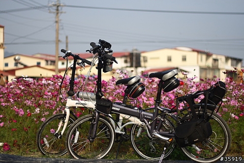 [分享] 美濃花旅與17公里海岸線(組圖)