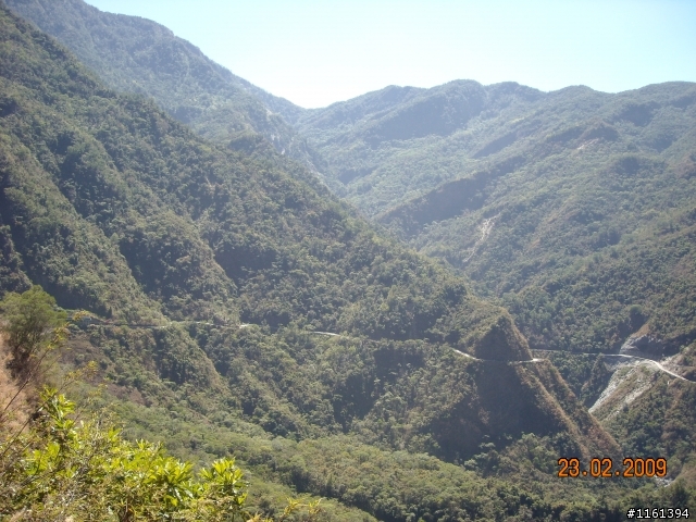 和阿禮櫻花的約定...人氣858回應1個耶