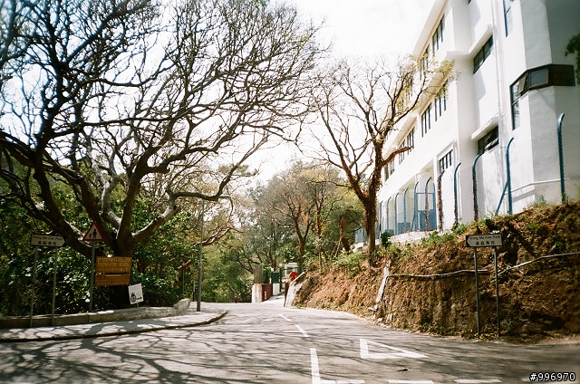 (HK)元的驚喜,Fujifilm 超傻瓜機....(相片及心得分享)