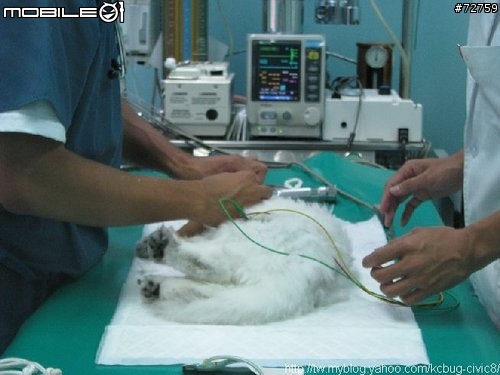 Nini與惡性腫瘤奮鬥過程全記錄(5/23更新-完結篇 詳情請看第一頁)