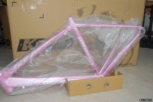 謹獻給辛苦的、親愛的女王~KINESIS KR-210L~20090224 PINK LADY開箱囉~