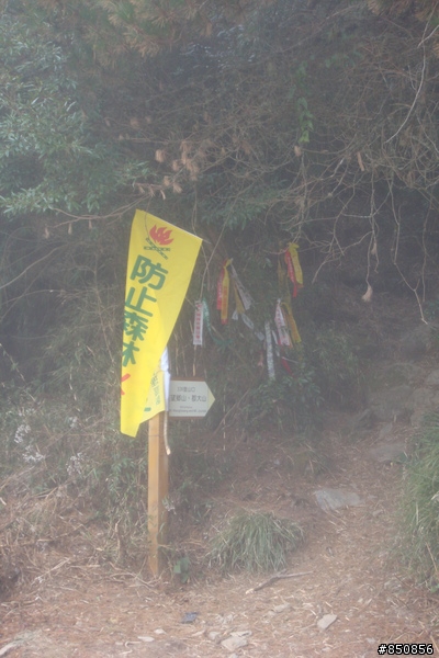 郡大林道14-32K