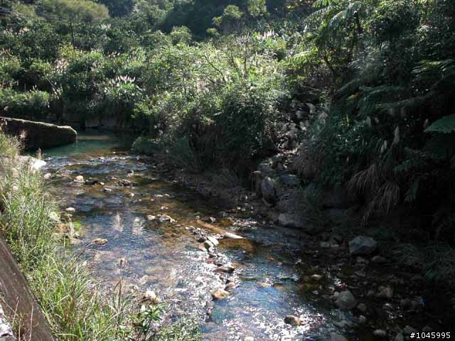 台北4P大滿貫(附航跡圖)