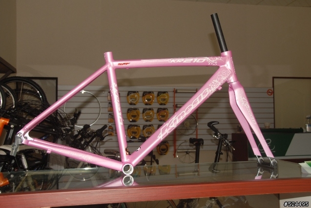 謹獻給辛苦的、親愛的女王~KINESIS KR-210L~20090224 PINK LADY開箱囉~
