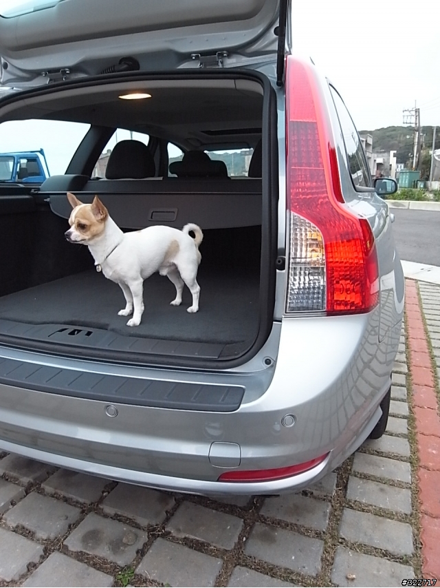 新增 VOLVO獲「Cesar五根骨頭大獎」圖片 + Volvo V50新手開箱文- 我家也有狗明星