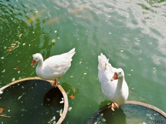 [分享](偽)我的攝影之路