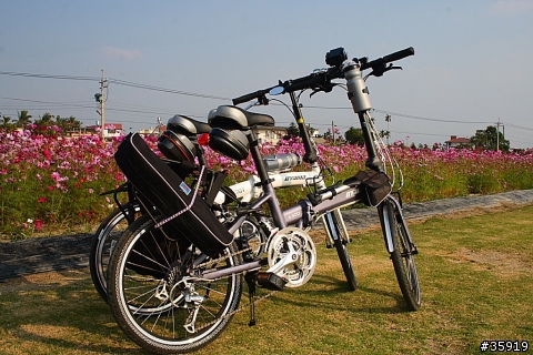 [分享] 美濃花旅與17公里海岸線(組圖)