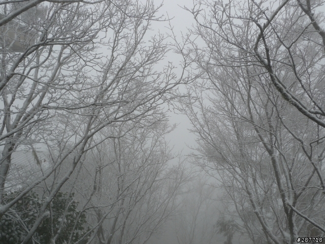LX3 VS 宜蘭太平山雪景