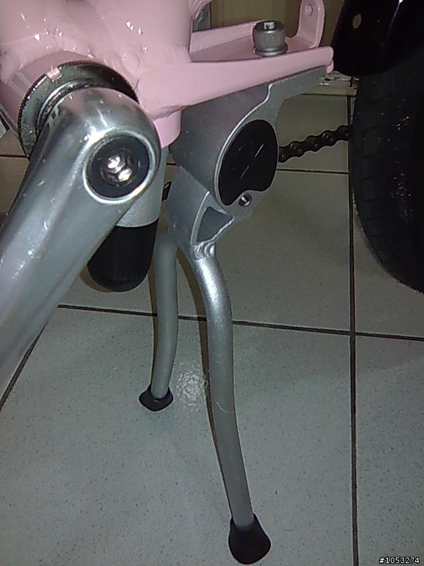 [分享] 09 DAHON curve D3 ~粉紅小花