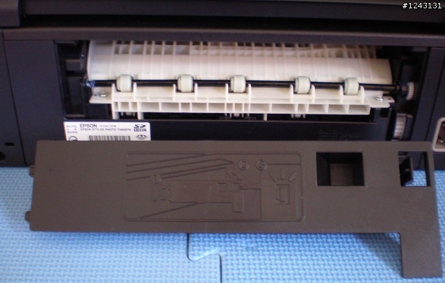 [試用分享]Epson Stylus Photo TX800FW 黑與白的親密接觸