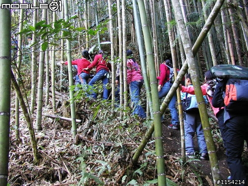 新竹縣尖石鄉泰崗野溪溫泉一日遊