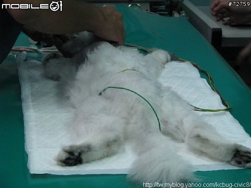 Nini與惡性腫瘤奮鬥過程全記錄(5/23更新-完結篇 詳情請看第一頁)