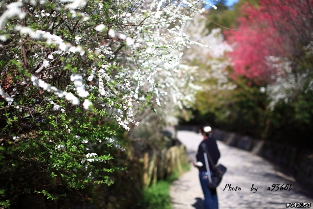 [分享] SIGMA 50mm F1.4 on 5D2 試拍