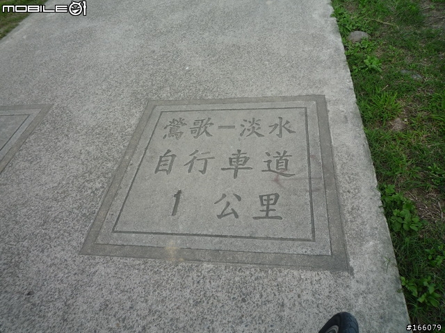 鶯歌樹林半日行