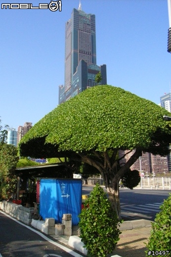 [高雄]西臨港線自行車道(百張圖多)