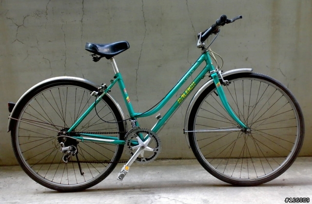 老媽的鋼管車 - Raleigh Lafound Sport