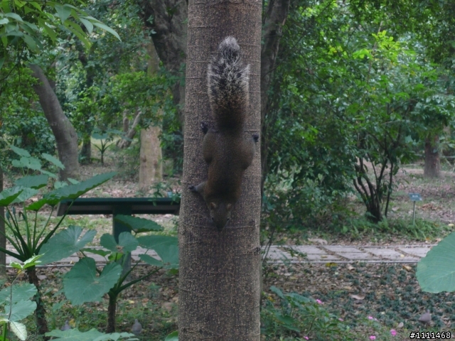 台北植物園