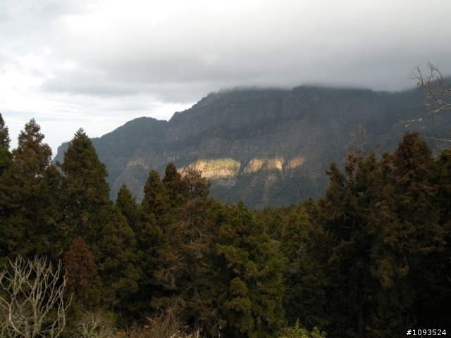 阿里山與新中橫 三天兩夜單車行(1/24~1/26)