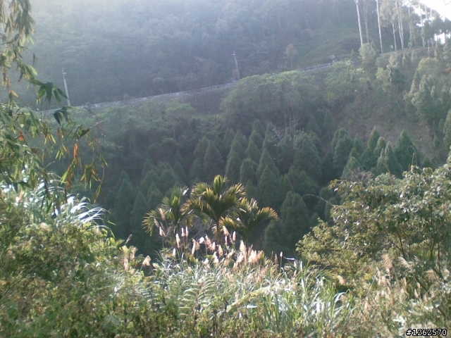 2009 0208 日月潭環湖
