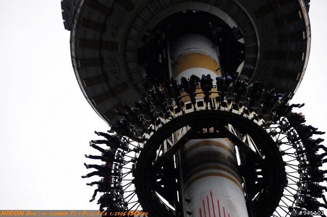 D90觀景窗下的九族櫻花之美!