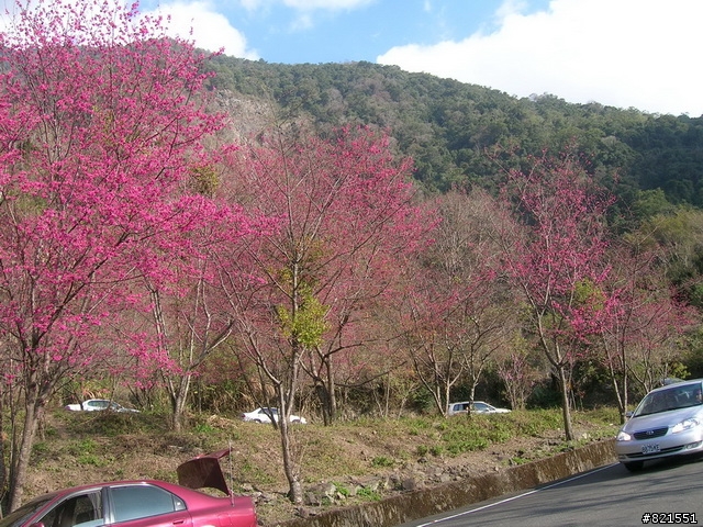 【環東台灣老人長青旅遊活動】高雄市→台東市→花蓮市→宜蘭市→台北市  台灣東部四天遊(圖極多)